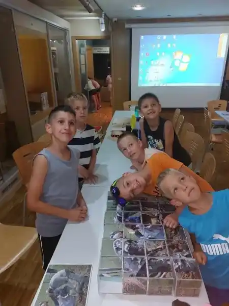 Taborniki Osnovne šole Aranya Jánosa